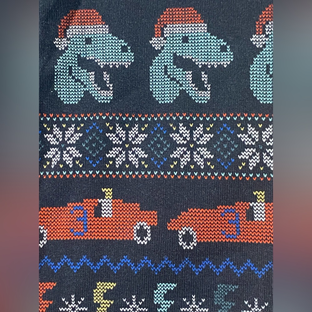 Hanna Andersson size 160cm (US size 14) Christmas dinosaur print two piece PJ’s - Picture 3 of 3